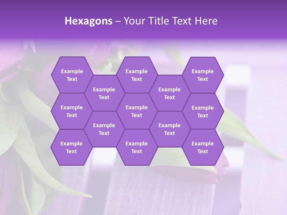 Gutschein Garten Holzuntergrund PowerPoint Template