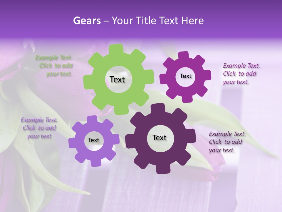 Gutschein Garten Holzuntergrund PowerPoint Template