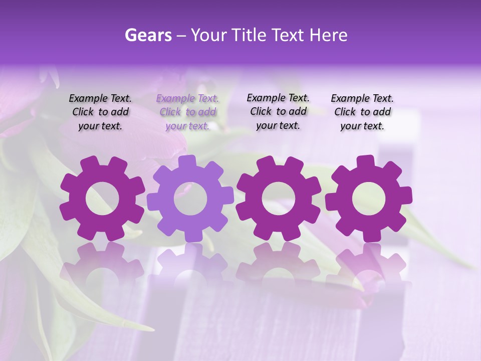 Gutschein Garten Holzuntergrund PowerPoint Template