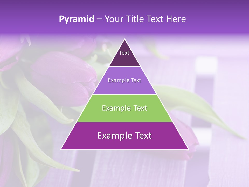 Gutschein Garten Holzuntergrund PowerPoint Template