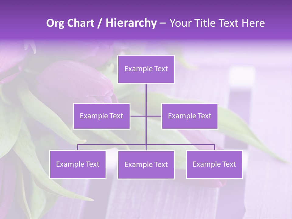Gutschein Garten Holzuntergrund PowerPoint Template