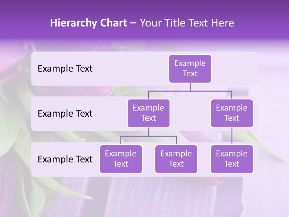Gutschein Garten Holzuntergrund PowerPoint Template