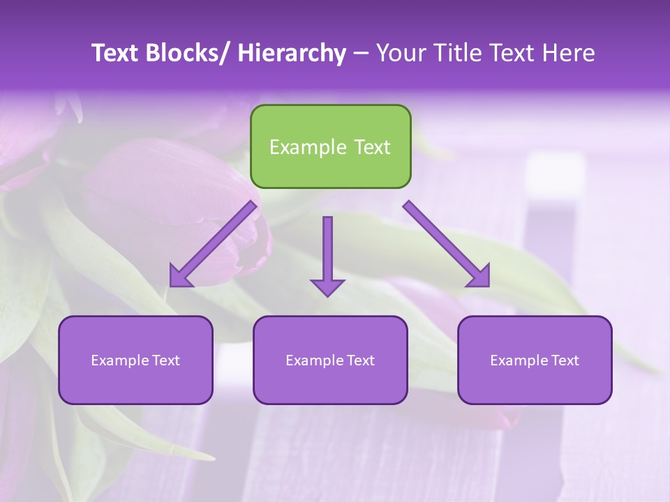 Gutschein Garten Holzuntergrund PowerPoint Template