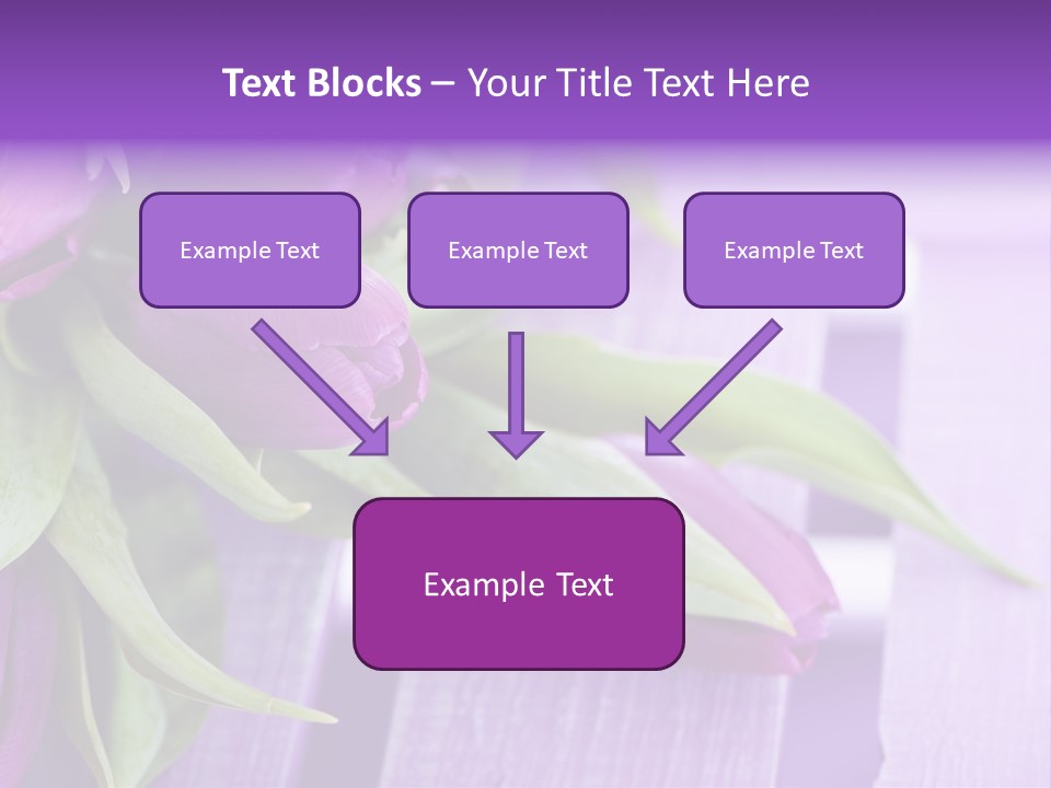 Gutschein Garten Holzuntergrund PowerPoint Template