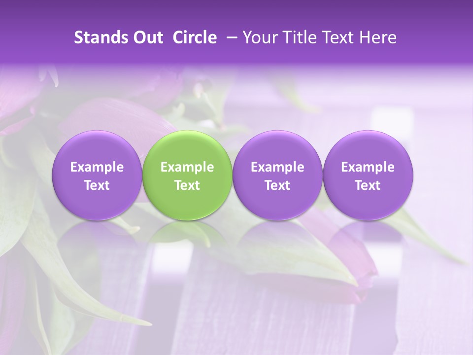 Gutschein Garten Holzuntergrund PowerPoint Template