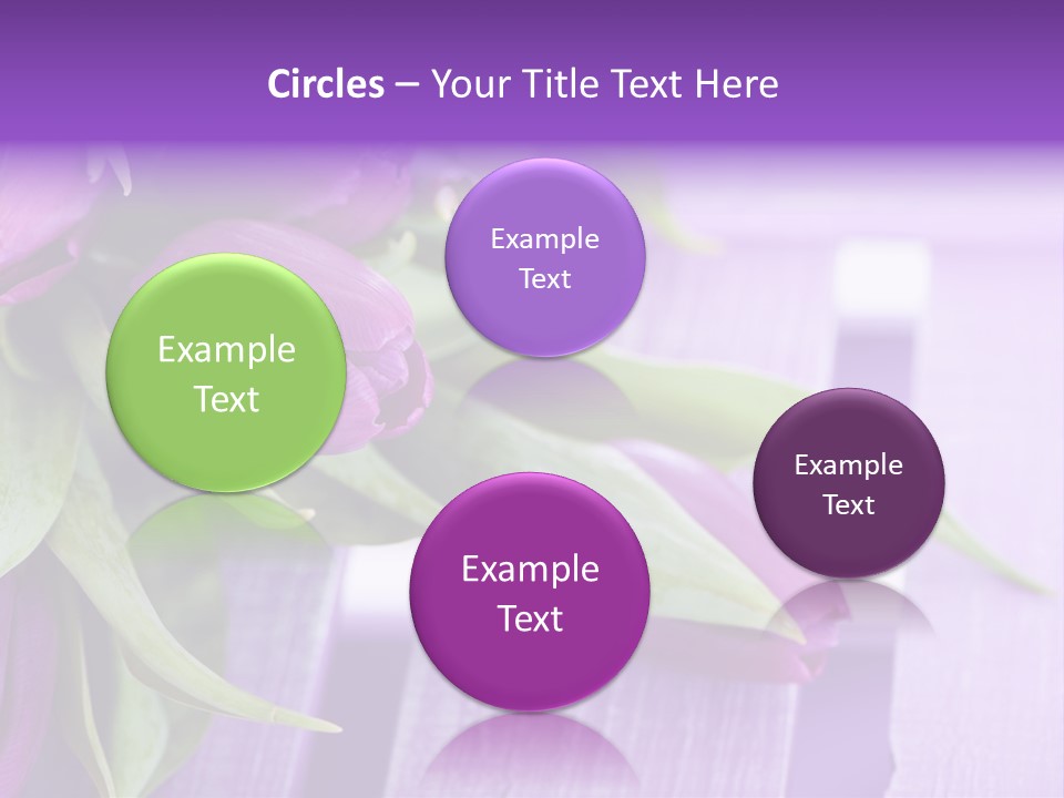 Gutschein Garten Holzuntergrund PowerPoint Template