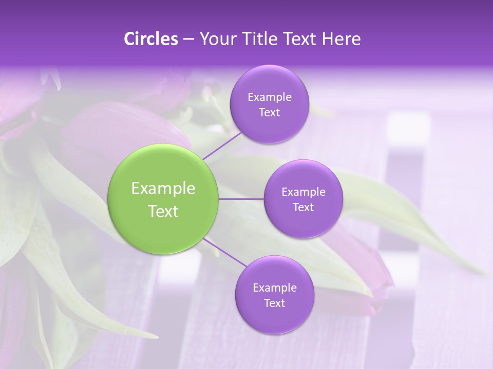 Gutschein Garten Holzuntergrund PowerPoint Template