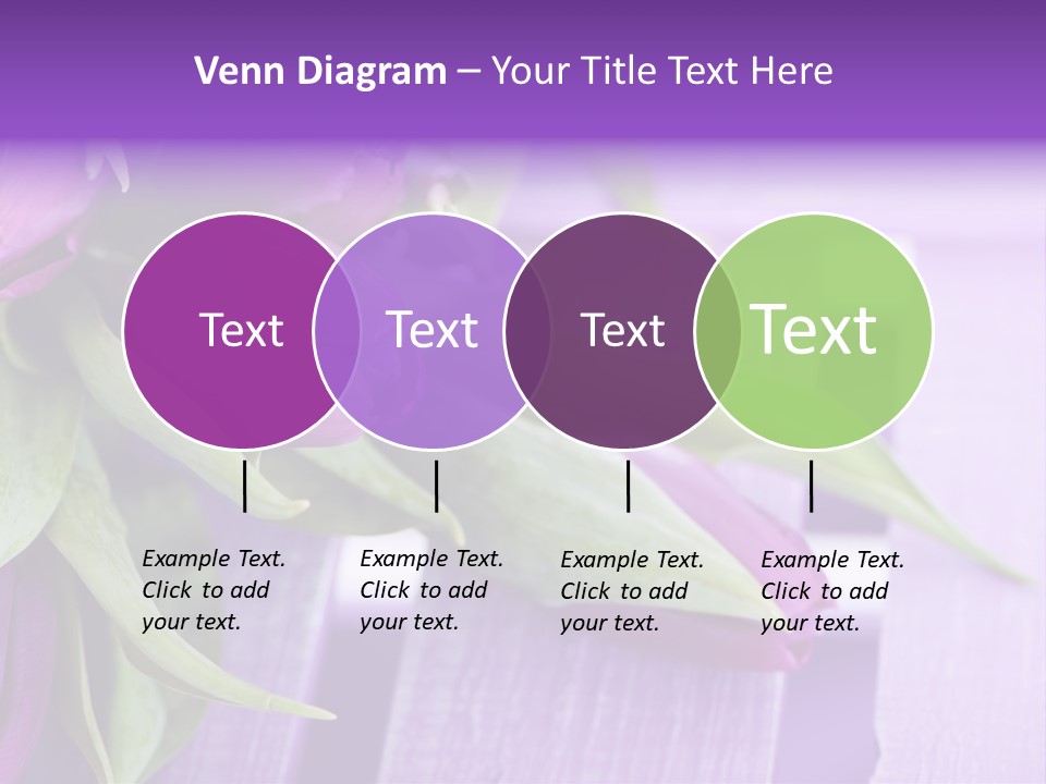 Gutschein Garten Holzuntergrund PowerPoint Template