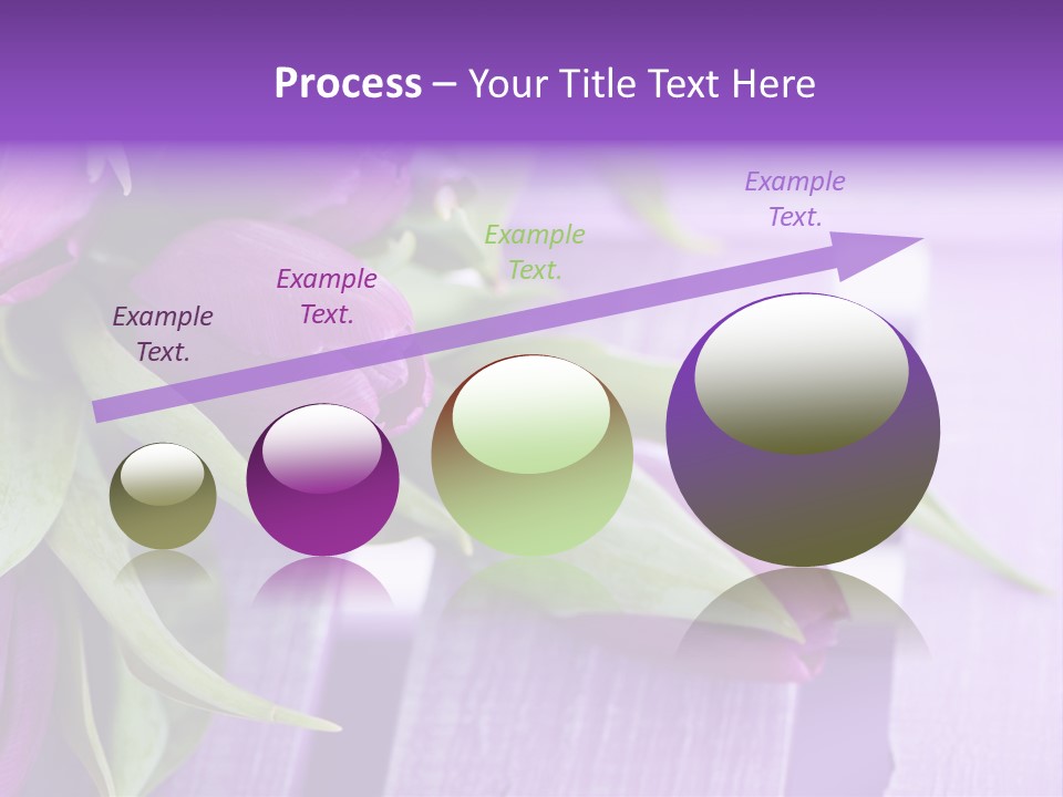 Gutschein Garten Holzuntergrund PowerPoint Template