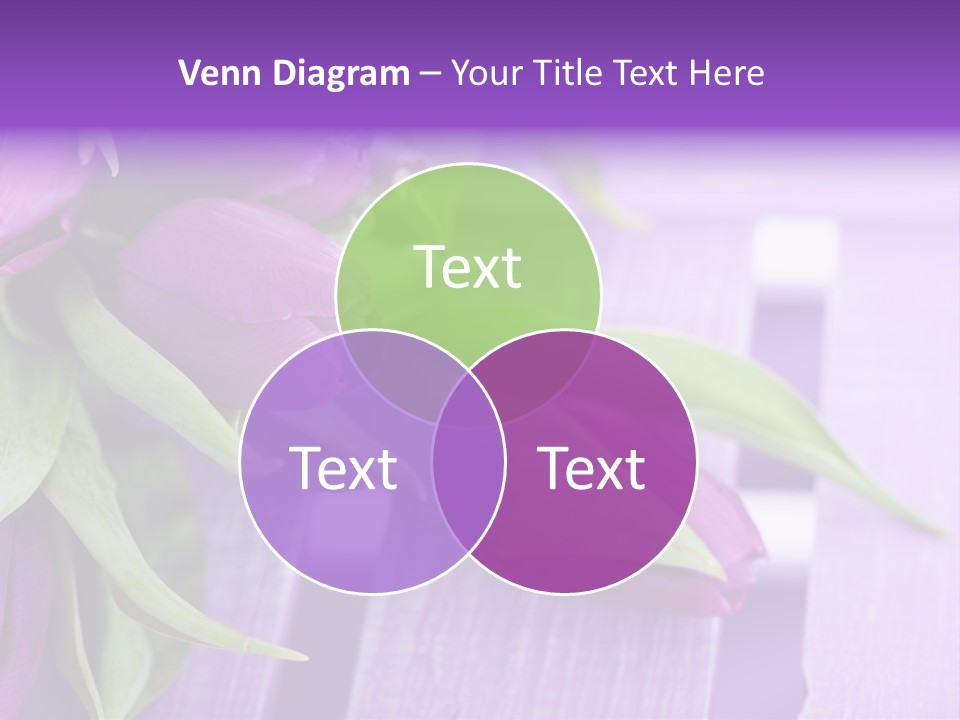 Gutschein Garten Holzuntergrund PowerPoint Template