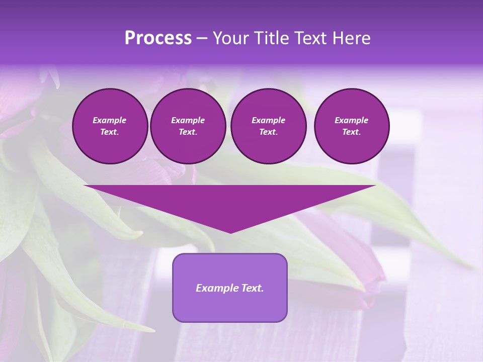 Gutschein Garten Holzuntergrund PowerPoint Template