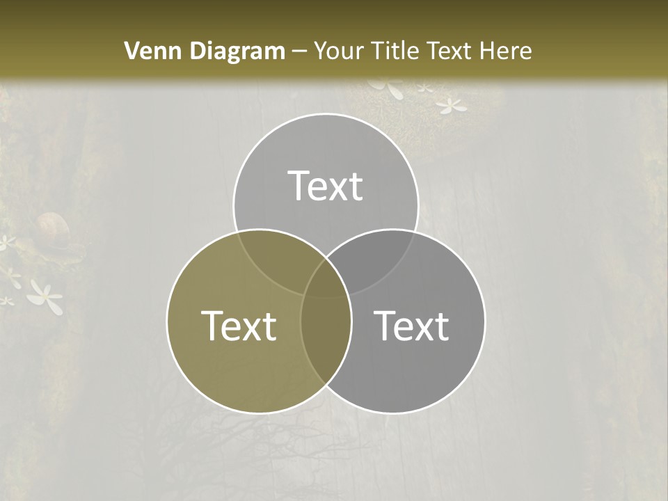 Gift Texture Snail PowerPoint Template