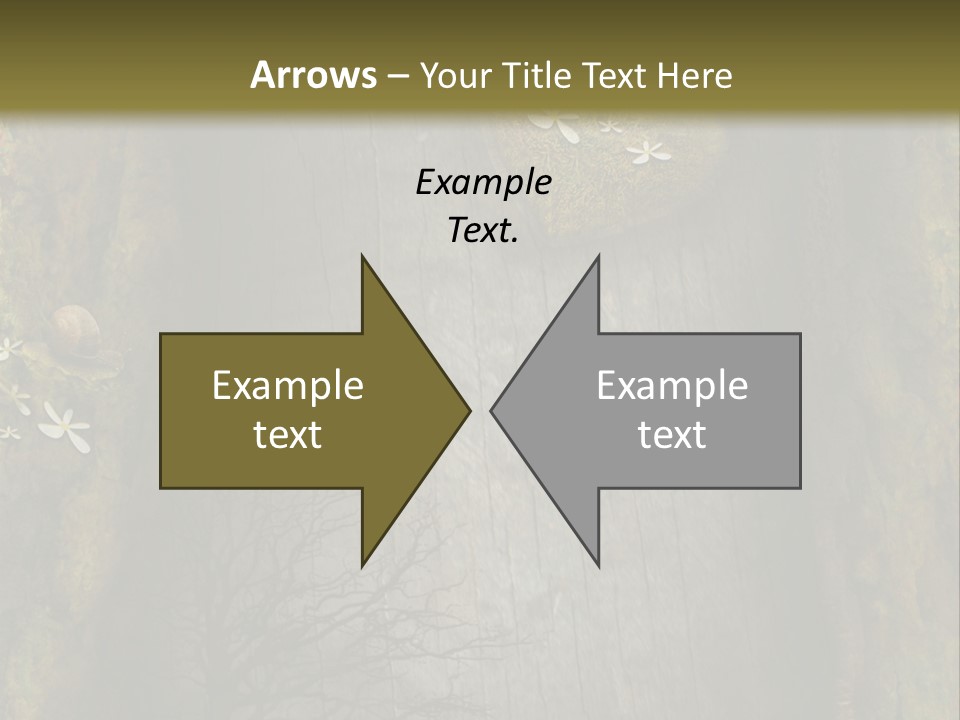 Gift Texture Snail PowerPoint Template