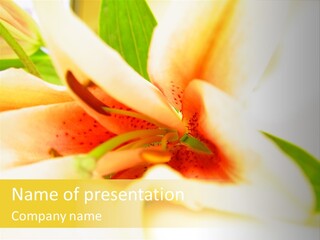 Exotic Blossom Natural PowerPoint Template