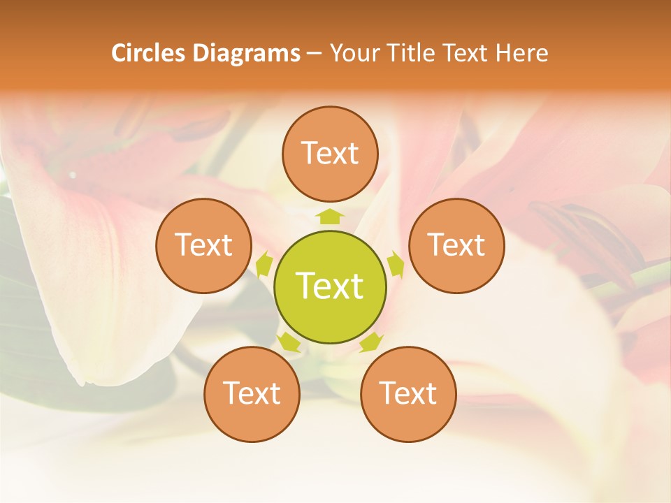 White Pink Petal PowerPoint Template