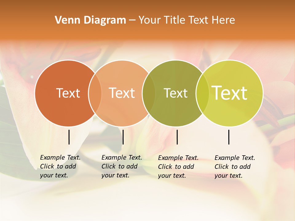 White Pink Petal PowerPoint Template