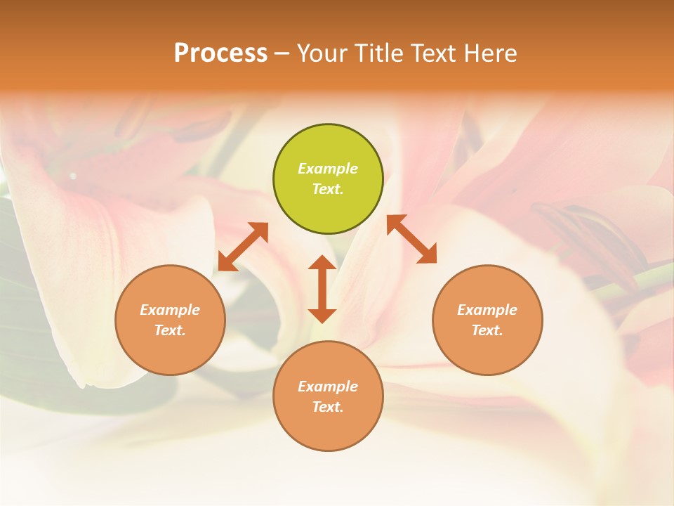 White Pink Petal PowerPoint Template