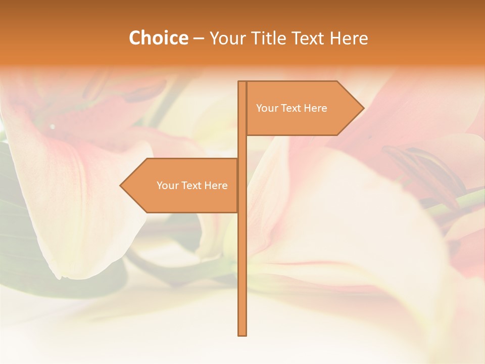 White Pink Petal PowerPoint Template