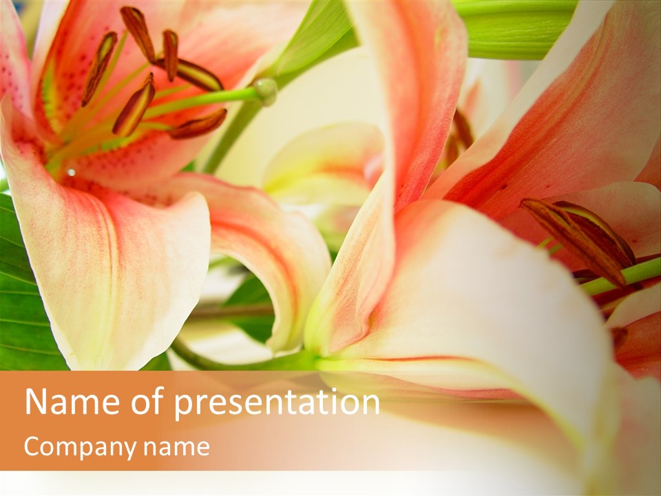 Abstract Decorative Hue PowerPoint Template