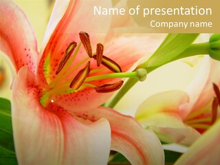 Nature Plant White PowerPoint Template