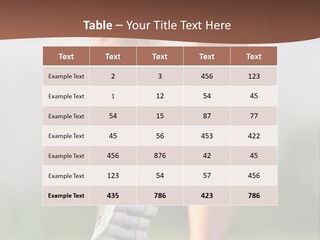 Jog Jogger Workout PowerPoint Template