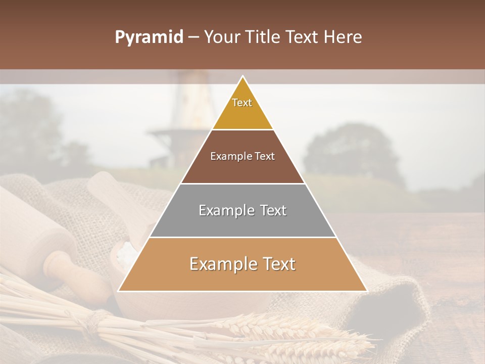 Diet Healthy Harvest PowerPoint Template