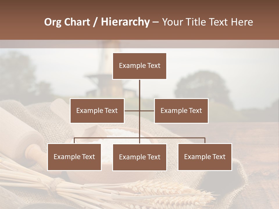 Diet Healthy Harvest PowerPoint Template