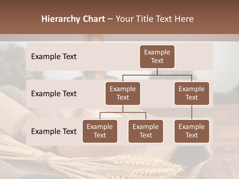 Diet Healthy Harvest PowerPoint Template