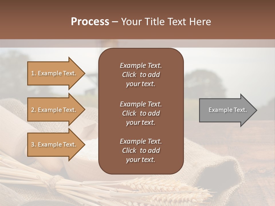 Diet Healthy Harvest PowerPoint Template
