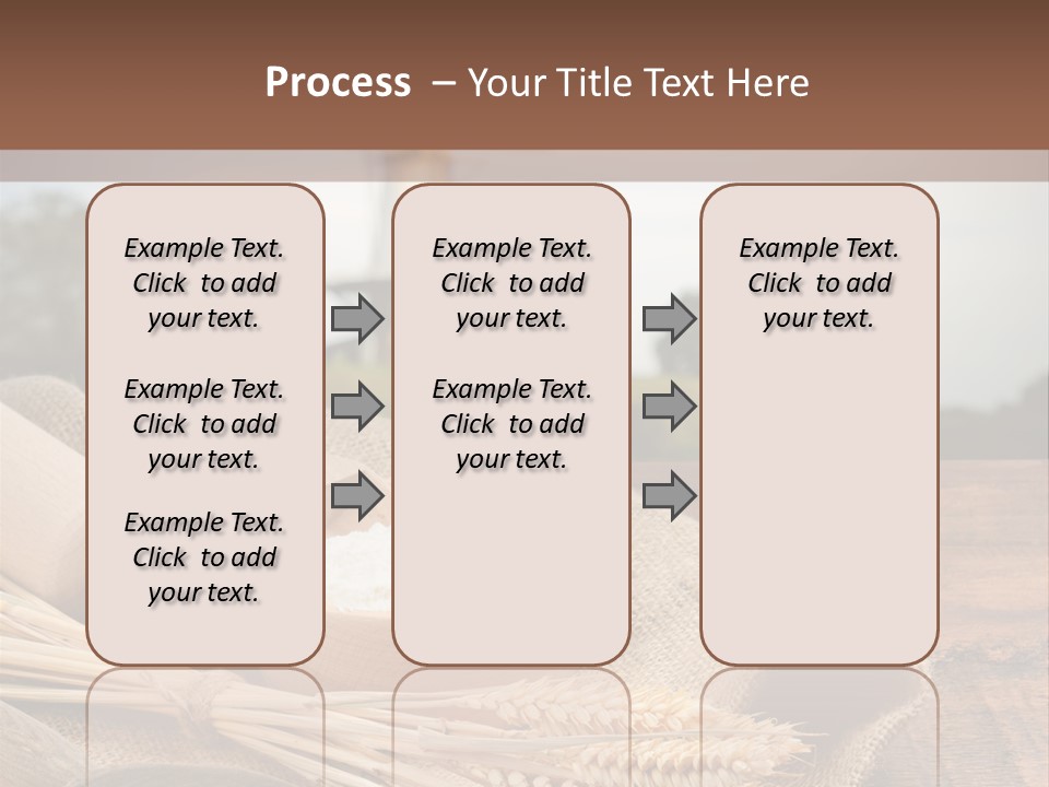 Diet Healthy Harvest PowerPoint Template