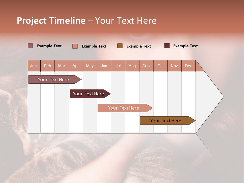Closeup Longing Cute PowerPoint Template