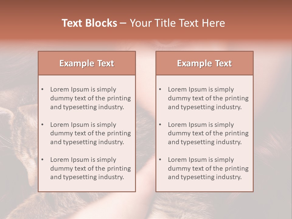 Closeup Longing Cute PowerPoint Template