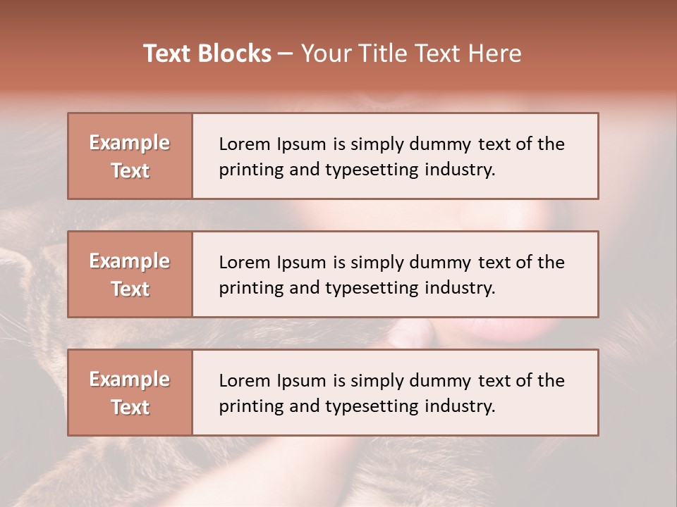 Closeup Longing Cute PowerPoint Template