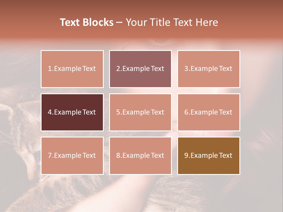 Closeup Longing Cute PowerPoint Template