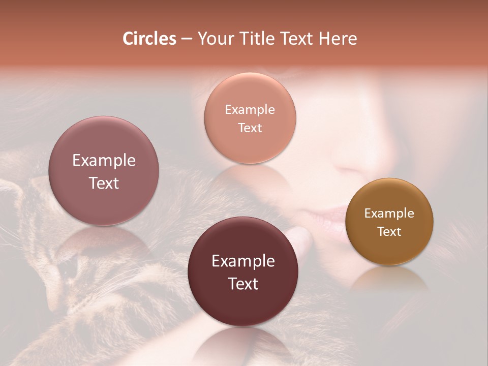 Closeup Longing Cute PowerPoint Template