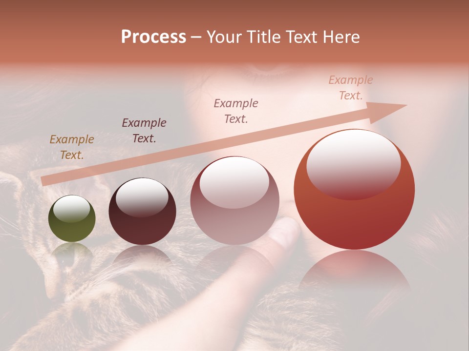 Closeup Longing Cute PowerPoint Template