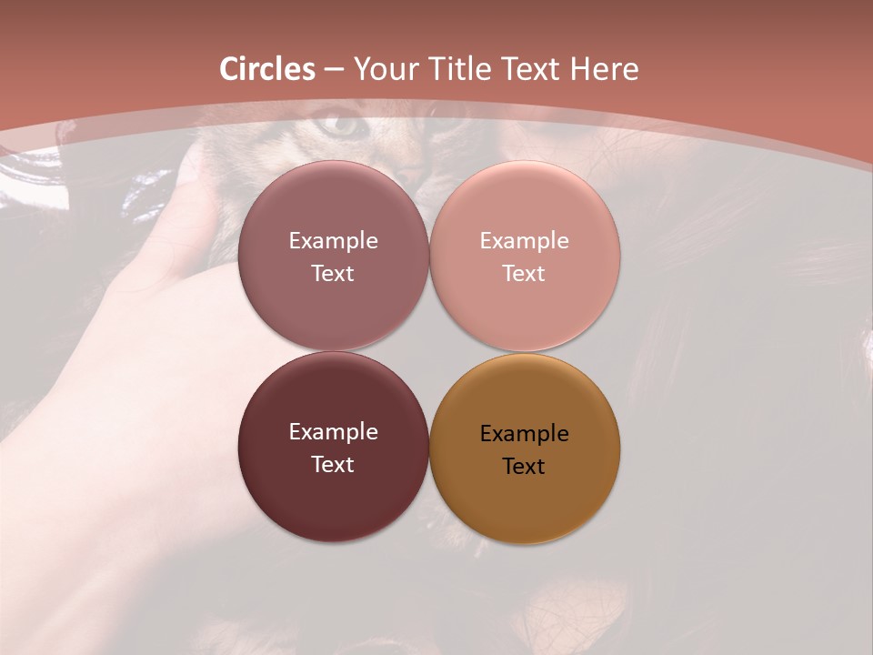 Beautiful Closeup Animal PowerPoint Template