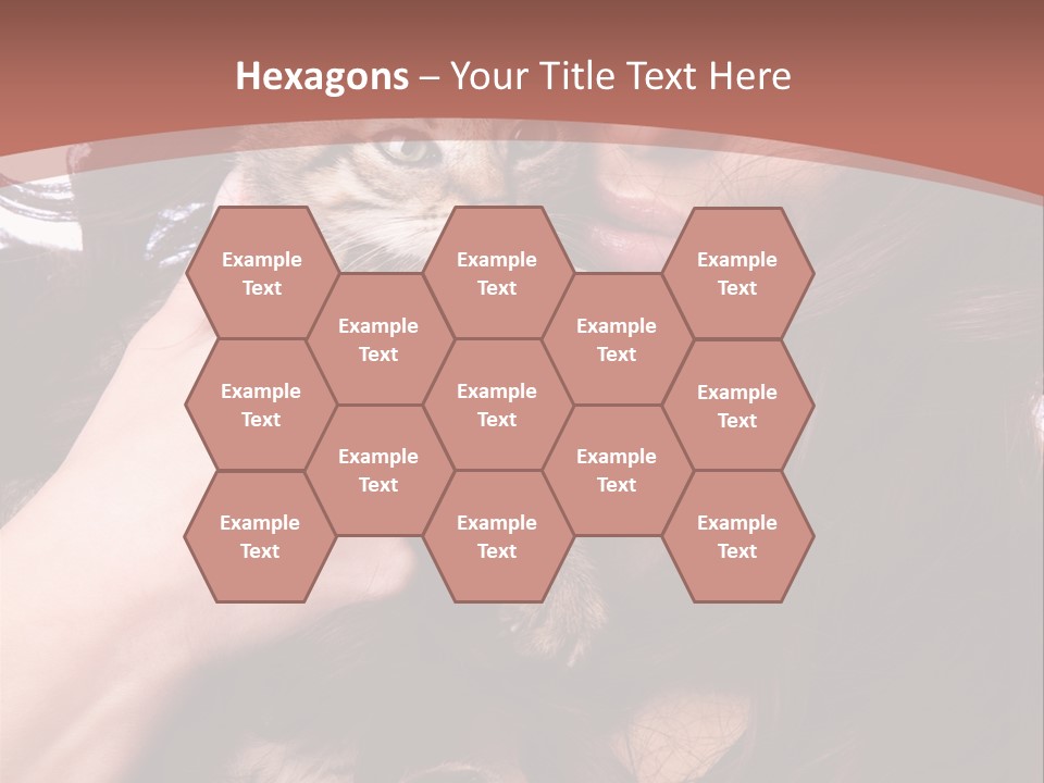 Beautiful Closeup Animal PowerPoint Template