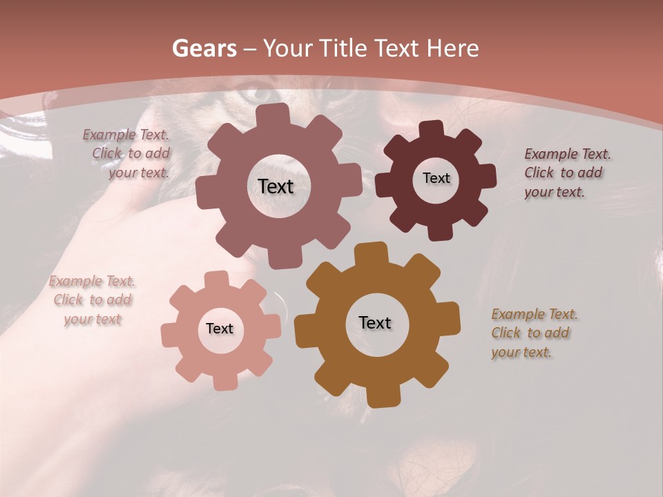 Beautiful Closeup Animal PowerPoint Template