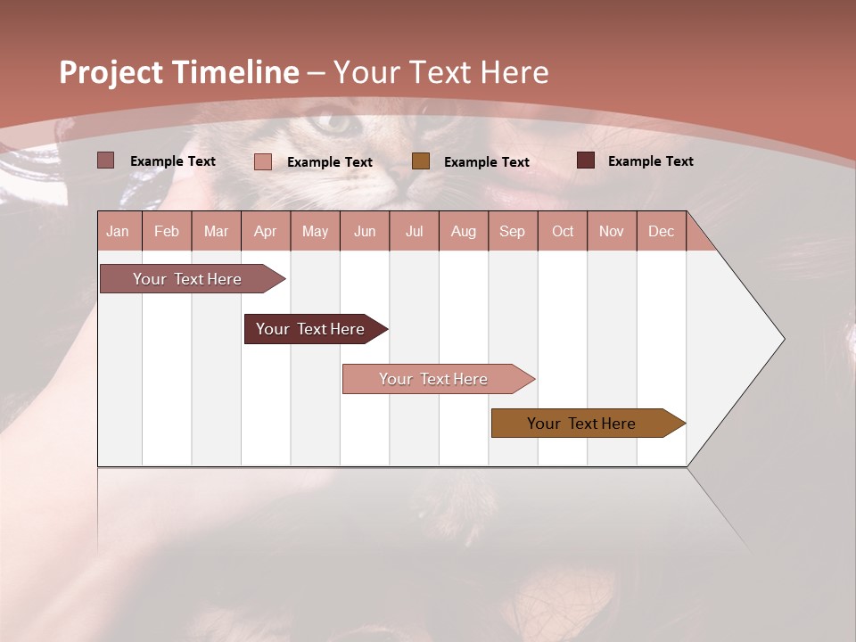 Beautiful Closeup Animal PowerPoint Template