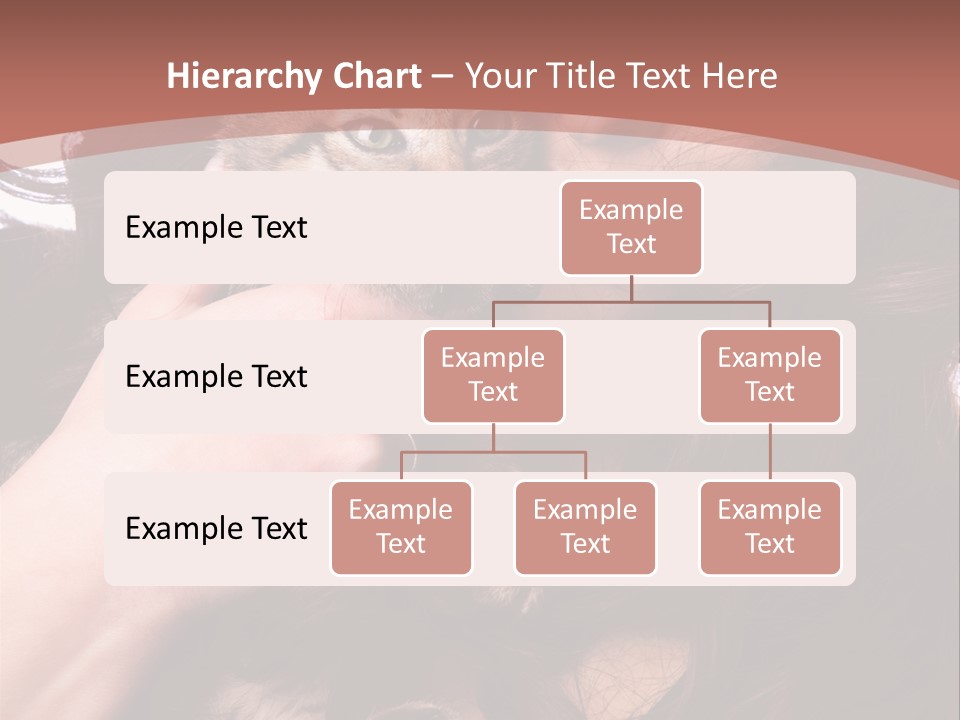 Beautiful Closeup Animal PowerPoint Template