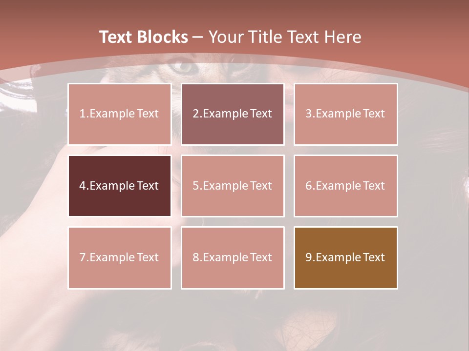 Beautiful Closeup Animal PowerPoint Template