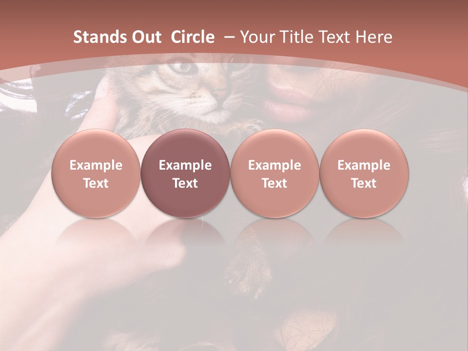 Beautiful Closeup Animal PowerPoint Template
