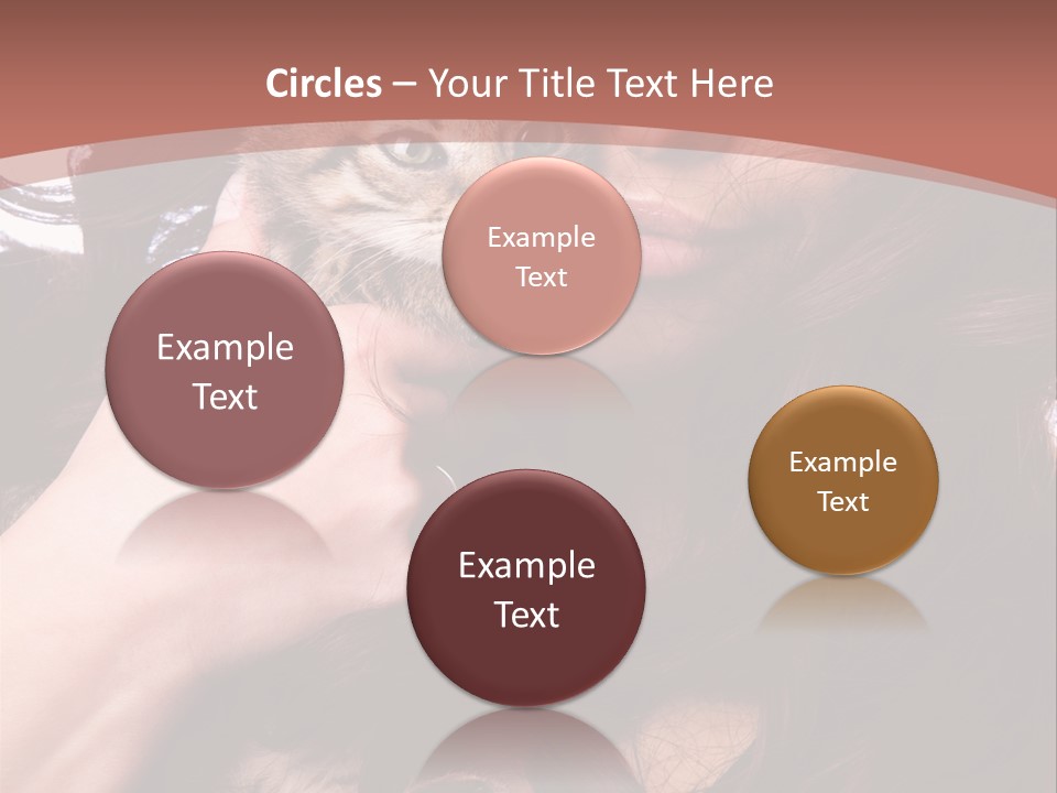 Beautiful Closeup Animal PowerPoint Template