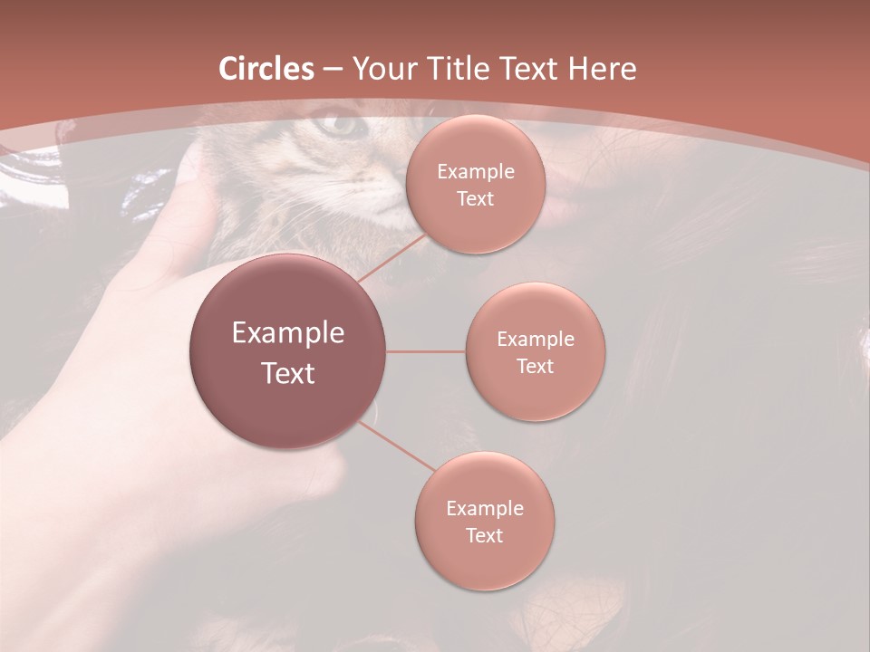 Beautiful Closeup Animal PowerPoint Template