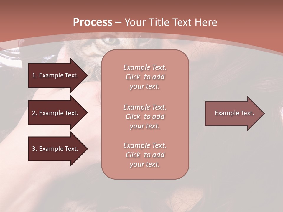 Beautiful Closeup Animal PowerPoint Template