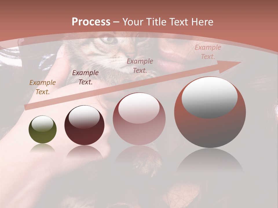 Beautiful Closeup Animal PowerPoint Template