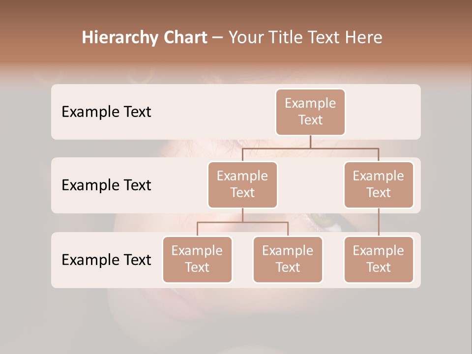 Tender  Cute PowerPoint Template