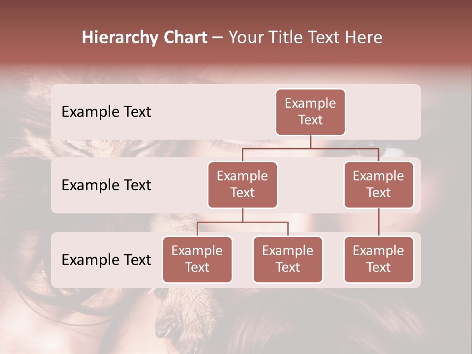 Holding Smile Friendship PowerPoint Template