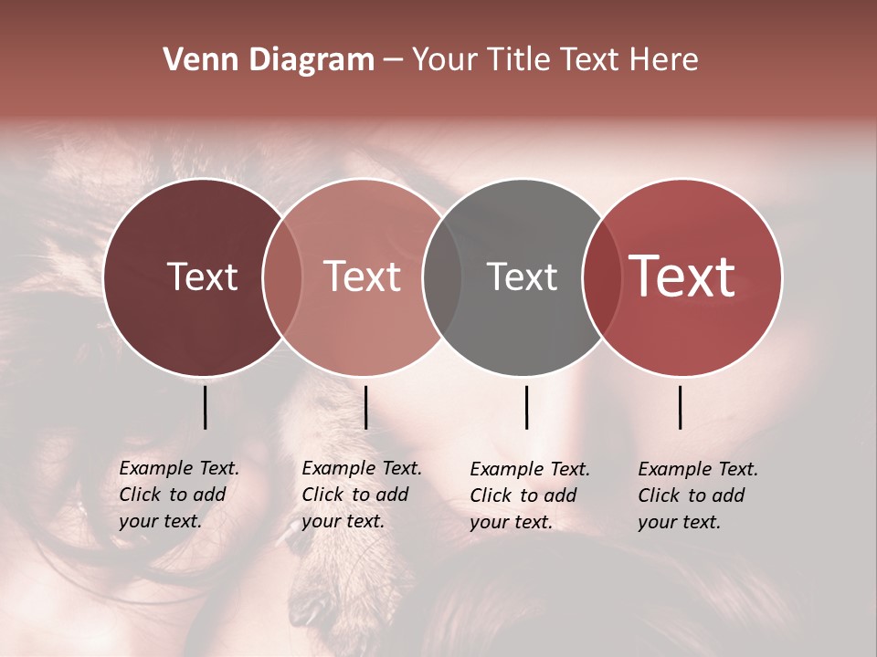 Holding Smile Friendship PowerPoint Template